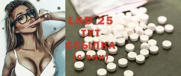 индика Белокуриха