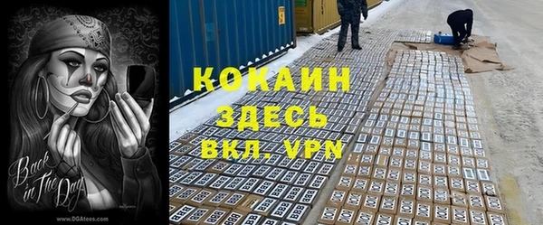 индика Белокуриха