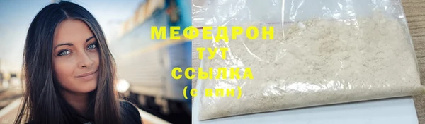 индика Белокуриха