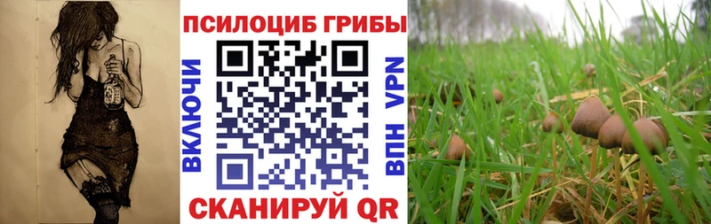Галлюциногенные грибы мицелий  Купить  Бологое 