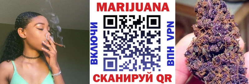 Бошки марихуана сатива Бологое